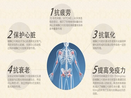 什么时候食用辅酶Q10效果最佳-辅酶Q10(Q10