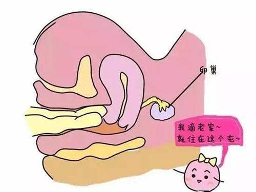 卵巢保养按摩手法