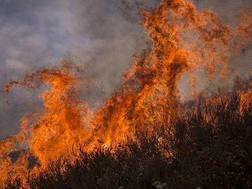 洛杉矶山火爆发 历史最大 进入紧急状态 直升机