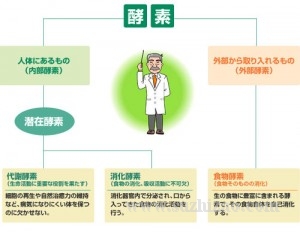 孝素的原理是什么_孝的本义是什么(3)