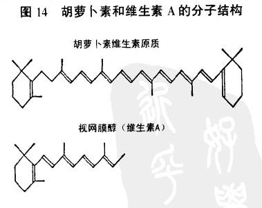 胡萝卜维生素c多吗_胡萝卜素可以转化为_胡萝卜素转化维生素a